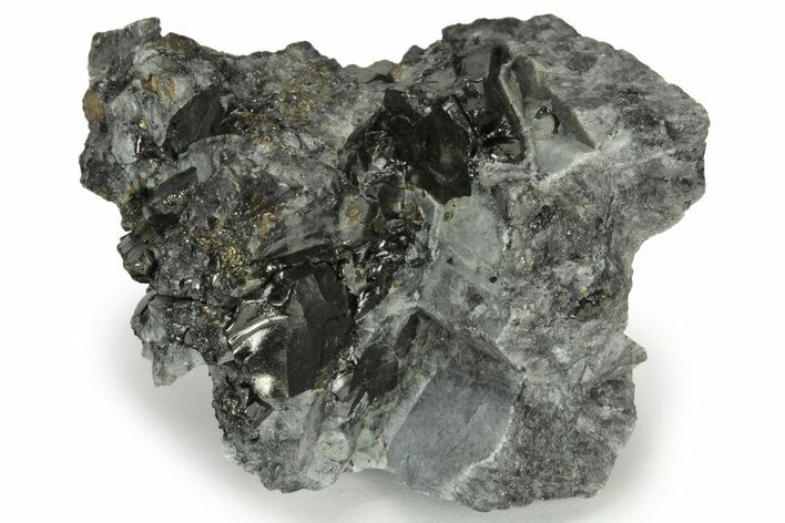 Lustrous Shungite In Host Rock - Colombia #237687